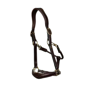Cabresto | Couro Premium